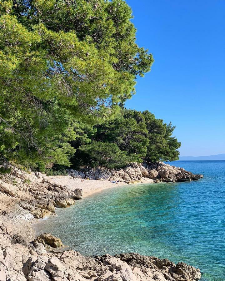 Strandhaus Dalmatien Διαμέρισμα Zaostrog Εξωτερικό φωτογραφία